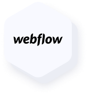 webflow-icon-HITS Design